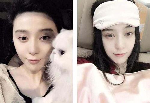 娱乐圈明星吃瓜介绍图,幕后真相大曝光  第3张