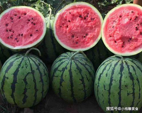 娱乐吃瓜酱的作品好朋友,揭秘娱乐圈的真挚情谊与甜蜜互动 第3张 娱乐吃瓜酱的作品好朋友,揭秘娱乐圈的真挚情谊与甜蜜互动 第3张