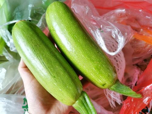 疫情期间娱乐圈吃瓜,吃瓜群众见证的幕后风云 第3张 疫情期间娱乐圈吃瓜,吃瓜群众见证的幕后风云 第3张