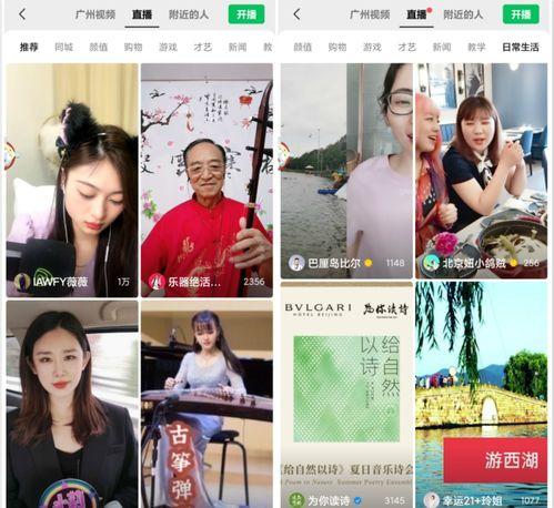 娱乐圈深度吃瓜直播视频