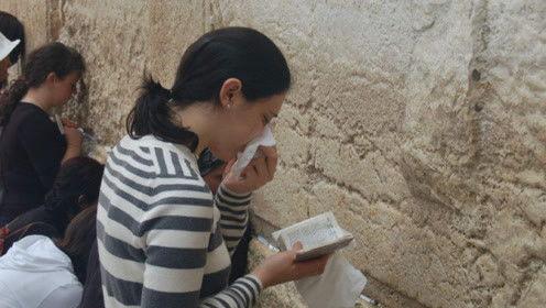 娱乐吃瓜君 网红是谁呀,网红背后的故事与影响力  第3张