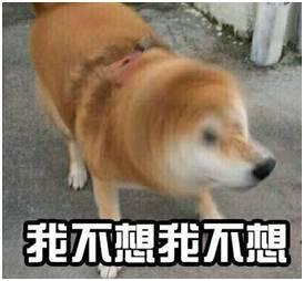 假如狗会说话娱乐吃瓜酱 第2张 假如狗会说话娱乐吃瓜酱 第2张