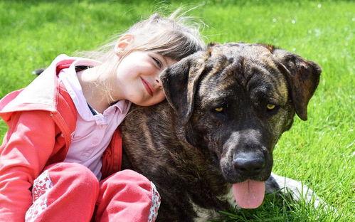 假如狗会说话娱乐吃瓜酱 第3张 假如狗会说话娱乐吃瓜酱 第3张