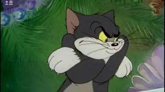 吃娱乐瓜tom猫的微博,Tom猫微博揭秘娱乐圈幕后故事 第3张 吃娱乐瓜tom猫的微博,Tom猫微博揭秘娱乐圈幕后故事 第3张