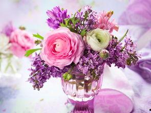 娱乐吃瓜酱一束鲜花,娱乐吃瓜酱一束鲜花背后的故事 第2张 娱乐吃瓜酱一束鲜花,娱乐吃瓜酱一束鲜花背后的故事 第2张